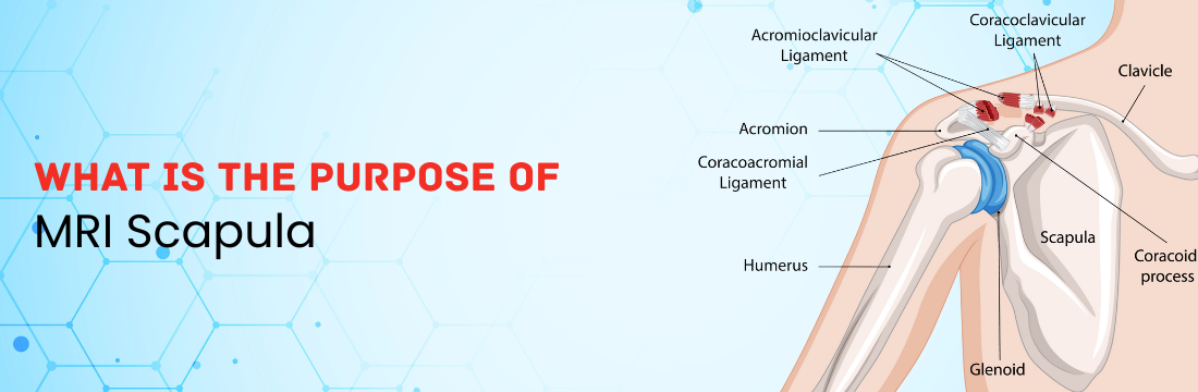 What is the Purpose of MRI Scapula